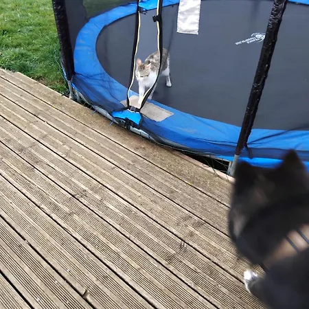 Studio Apartament La Canourgue