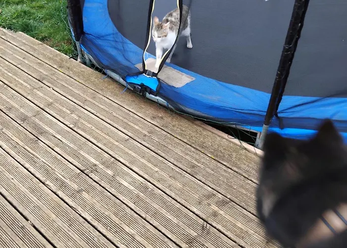 Studio Apartament La Canourgue